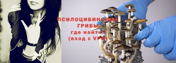 мет Богданович