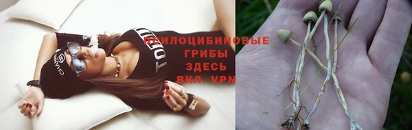 apvp Богородицк