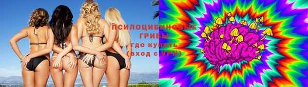 эйфоретик Белокуриха