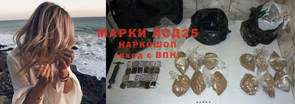 apvp Богородицк