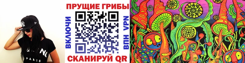 Псилоцибиновые грибы Psilocybe omg маркетплейс Бородино хочу